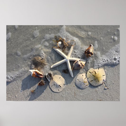 Schätze des Strandes bei Ebbe Poster (Vorne)