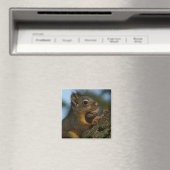 Schätze eines Chipmunks Magnet (In Situ (Geschirrspüler))