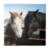 Schatze Fliese (Vorderseite)