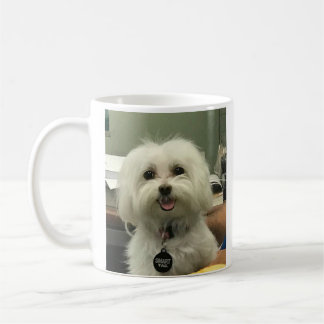 Schätzen maltesische Geschenk-Liebe der Tasse