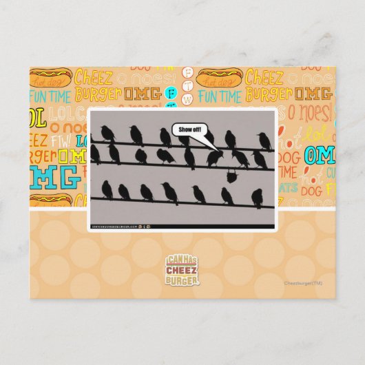 Schau ab! postkarte (Vorderseite)