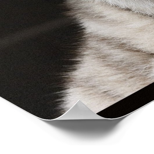 Schau auf das Licht! Poster (Ecke)