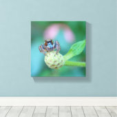 Schau dir diese Augen an! Leinwanddruck (Insitu (Holzboden))