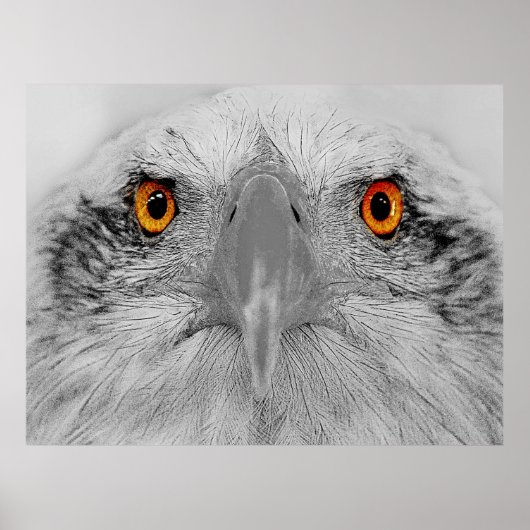 Schau in meine Augen Poster (Vorne)