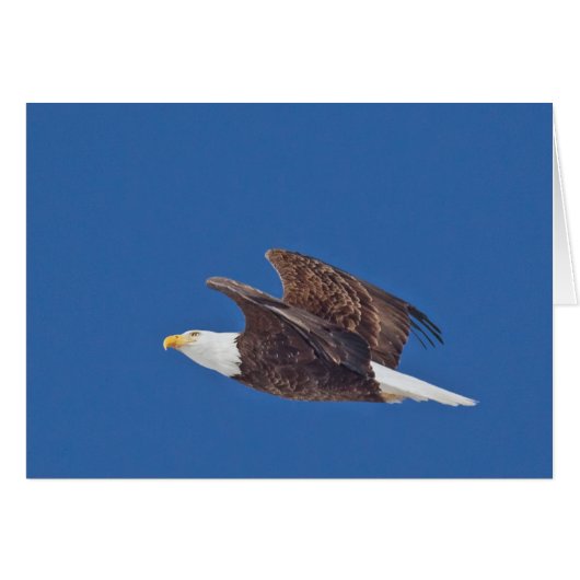 Schau nach oben, Adler (Vorderseite (Horizontal))