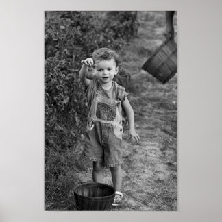 Schau, was ich got habe! poster