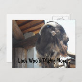 Schau, wer jetzt spricht.. postkarte (Vorne/Hinten)