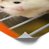 Schau, wer starrt dich an? (Poster) Poster (Ecke)