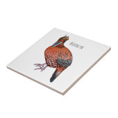 Schaubild des tragopanischen Cartoon von Cabot Fliese (Seite)