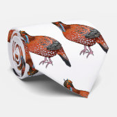 Schaubild des tragopanischen Cartoon von Cabot Krawatte (Gerollt)