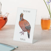 Schaubild des tragopanischen Cartoon von Cabot Sockelschild (In SItu)