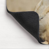 Schaue ich fett? mousepad (Ecke)