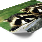 schauen auf ya poster (Ecke)