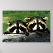 schauen auf ya poster (Vorne)