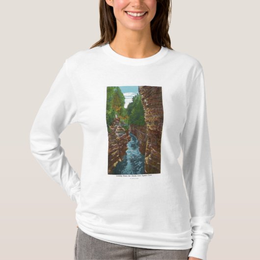 Schauen hinunter Ausable Abgrund von Hydes Höhle T-Shirt (Vorderseite)