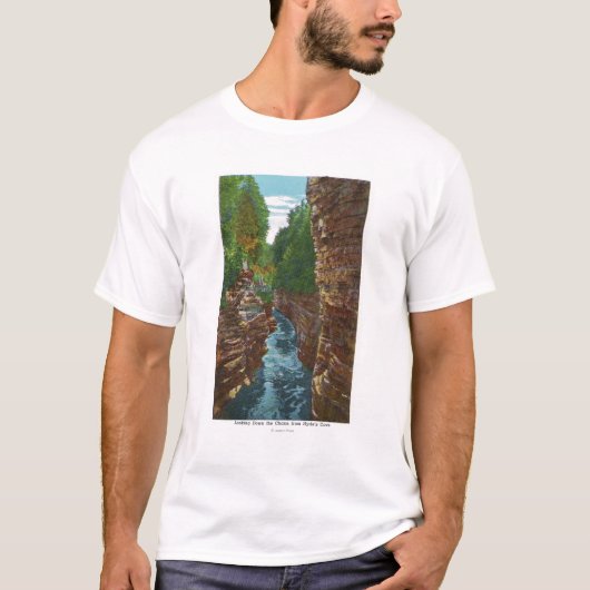 Schauen hinunter Ausable Abgrund von Hydes Höhle T-Shirt (Vorderseite)