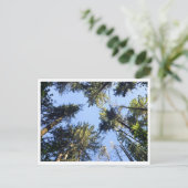 Schauen Postkarte (Stehend Vorderseite)