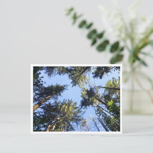 Schauen Postkarte (Stehend Vorderseite)