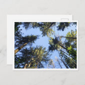 Schauen Postkarte (Vorne/Hinten)