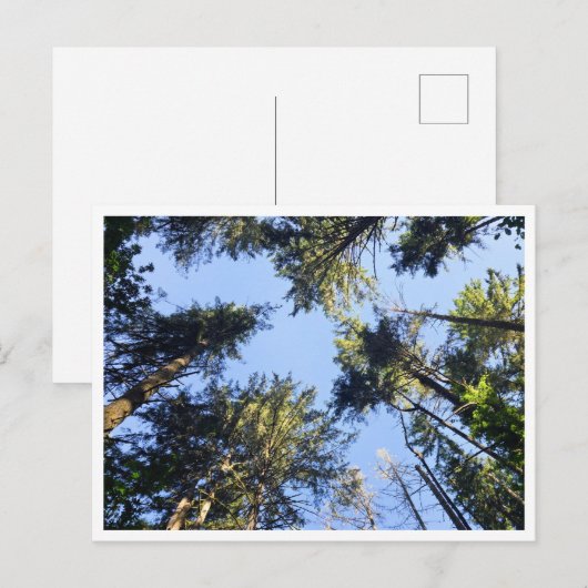 Schauen Postkarte (Vorne/Hinten)