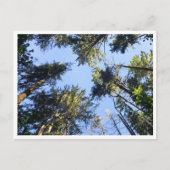 Schauen Postkarte (Vorderseite)