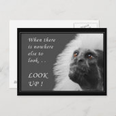 Schauen Postkarte (Vorne/Hinten)