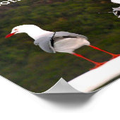 Schauen Sie auf beide Arten Poster (Ecke)