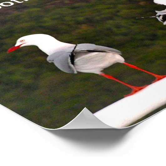 Schauen Sie auf beide Arten Poster (Ecke)