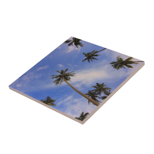 Schauen Sie auf die schönen Palmen blauer Himmel Fliese (Seite)