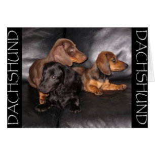 Schauen Sie die andere Weise