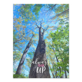 Schauen Sie immer nach Herbsthimmel und Blätter Fotodruck