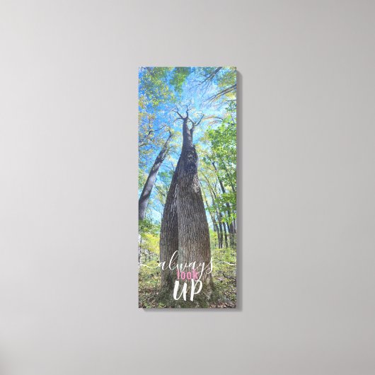 Schauen Sie immer nach Herbsthimmel und Blätter Le Leinwanddruck (Vorderseite)