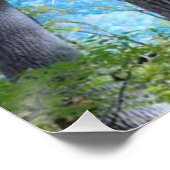 Schauen Sie immer nach Herbsthimmel und Blätter Poster (Ecke)