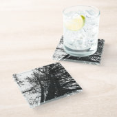 Schauen Sie in den Bäumen nach Glasuntersetzer (Schrägansicht)