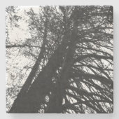 Schauen Sie in den Bäumen nach Steinuntersetzer (Vorderseite)