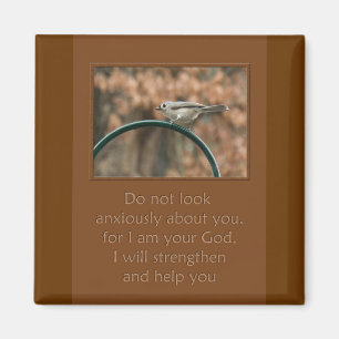 schauen Sie nicht ängstlich auf Sie Vogel auf Boge Magnet