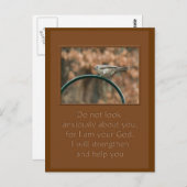 schauen Sie nicht ängstlich auf Sie Vogel auf Boge Postkarte (Vorne/Hinten)