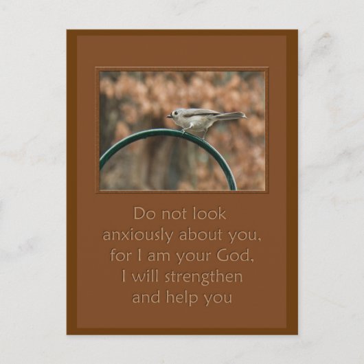 schauen Sie nicht ängstlich auf Sie Vogel auf Boge Postkarte (Vorderseite)