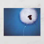 Schauen Sie nicht nach unten Postkarte (Vorderseite)