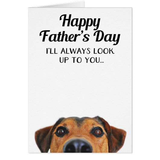 Schauen Sie oben zu Ihnen lustige der (Vorne)