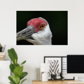 Schauen Sie sich an [Sandhill Crane] Poster (Heimbüro)