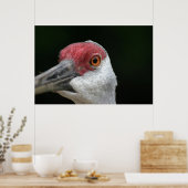 Schauen Sie sich an [Sandhill Crane] Poster (Küche)