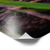 Schauen Sie sich das Kodak Pro Paper (Satin) auf d Fotodruck (Ecke)