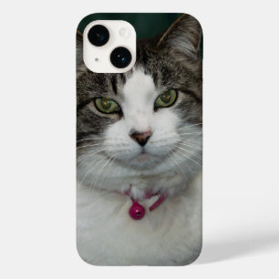 Schauen Sie sich den iPhone-Fall an Case-Mate iPhone 14 Hülle