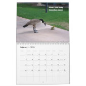 Schauen Sie sich den Terminkalender "Wildlife Wall Kalender (Feb 2026)