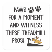 Schauen Sie sich diese Treadmill Pros an