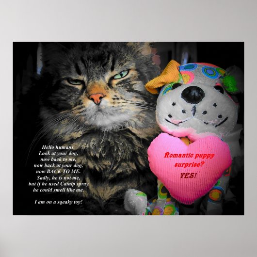 Schauen Sie sich Ihren Hund an und sehen Sie mich Poster (Vorne)