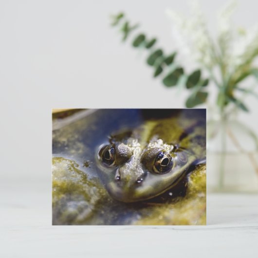 Schauen Sie sich mal an Postkarte (Stehend Vorderseite)