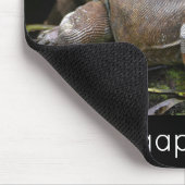 Schauen Sie sich Me Lizard Singapore Zoo an Mousepad (Ecke)