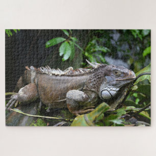 Schauen Sie sich Me Lizard Singapore Zoo an Puzzle